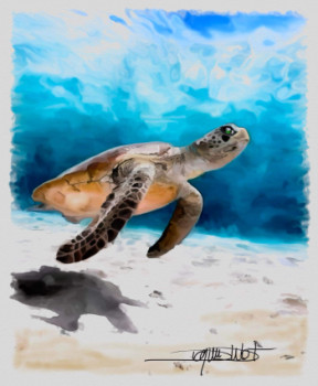 Named contemporary work « Tortue de floride », Made by DOMINIQUE DULOT DIGITAL