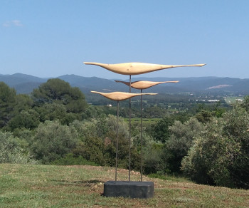 Named contemporary work « Triptique sculpture bois », Made by ALAIN CARUSO