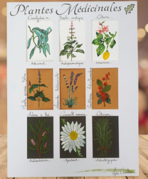 Named contemporary work « Plantes médicinales Ill.1 », Made by LYDIE COURBIER