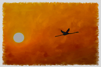 Named contemporary work « flamand rose au crépuscule », Made by DOMINIQUE DULOT DIGITAL