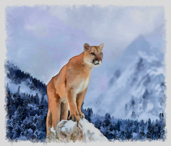 Named contemporary work « puma a Yellowstone », Made by DOMINIQUE DULOT DIGITAL