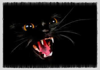 Named contemporary work « black cat », Made by DOMINIQUE DULOT DIGITAL