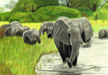 Named contemporary work « Eléphants en balade », Made by PIRDESSINS