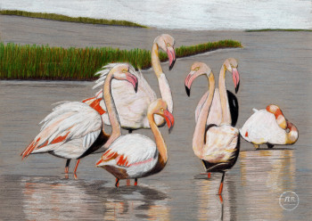 Named contemporary work « La grâce éblouissante du Flamant Rose de Camargue. », Made by PIRDESSINS