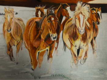 Named contemporary work « Chevaux libres », Made by PIRDESSINS