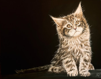 Named contemporary work « Bébé main coon », Made by ANGEL’ART