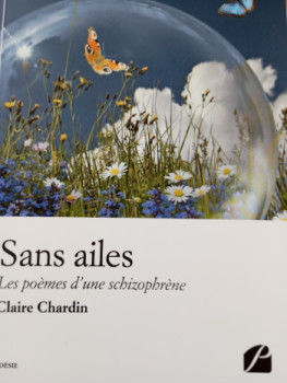 Named contemporary work « Sans ailes, les poèmes d'une schizophrène. », Made by CHARDIN CLAIRE