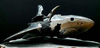 Named contemporary work « Shark extinction », Made by VALENTIN SACCARD