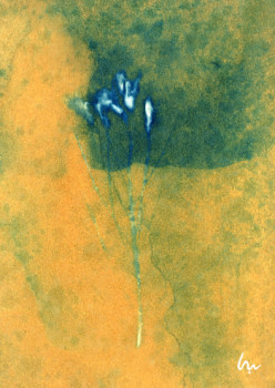 Named contemporary work « Cyanotype sur papier d'Art », Made by MAUD VEUILLOTTE