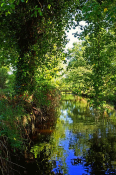 Named contemporary work « Balade au bord de la Rivière le pont du roc'h », Made by DREAMS 14