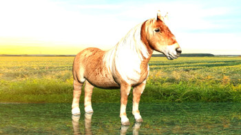 Named contemporary work « PONEY », Made by WHITE TIGER 60