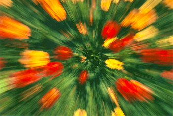 Named contemporary work « ZOOMING FLORAL 1 », Made by JEAN-JACQUES MASSOU