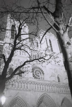 Named contemporary work « Façade parvis Notre-Dame (avec arbres) », Made by SARCIE