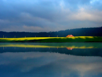 Named contemporary work « Le ciel, l'herbe et l'eau », Made by JEAN-BERNARD VUILLE