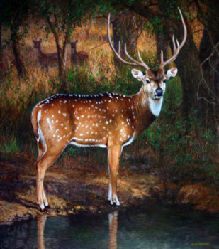 Named contemporary work «  	Axis deer », Made by GABRIEL HERMIDA