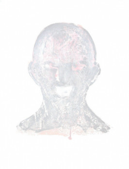 Named contemporary work « Figure (série)-2003- », Made by ALAIN MERCIER