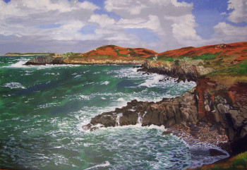 Named contemporary work « La côte sauvage », Made by BLUDEL