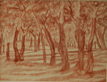 Named contemporary work « Sous-bois de chênes-lièges(ORAN) », Made by AFFIF CHERFAOUI