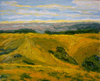 Named contemporary work « Savanes, Madagascar Nord », Made by ALFREDO