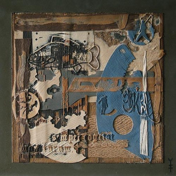 Named contemporary work « Palimpseste à la Carpe », Made by YANN HERVIS