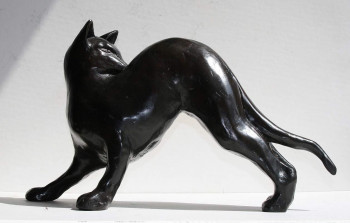 Named contemporary work « CHAT SIAMOIS », Made by XAVIER CARNOY