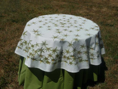 la-nappe-ail