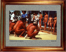 france-les-photographes-naturistes-1981