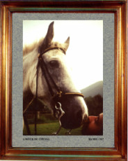 1987-un-amour-de-cheval