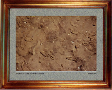1991-empreintes-sur-le-sable