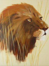 lion