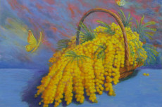 mimosas-et-papillons