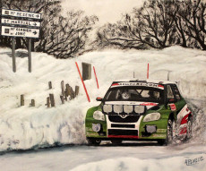 monte-carlo-2010-skoda-fabia-2000-juho-hanninen-mikko-markkula