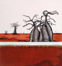 baobabs-en-terre-rouge