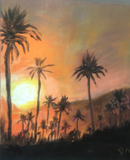 palmeraie-marrakech-couche-de-soleil