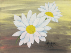 9-marguerites