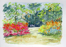 a-boutiguery-azalees-et-davidia-en-fleurs