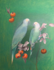 les-perroquets-verts