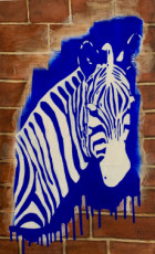le-zebre-bleu