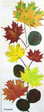 feuilles-dautomne-1