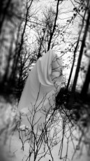 series-woman-in-the-woods