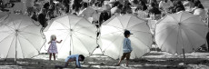 parasols-1