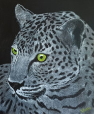 leopard-sur-toile-100-coton-340-gm2-peinture-originale-acrylique