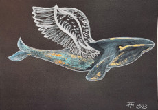 la-baleine-volante