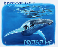 protect-me-2