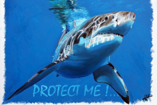 protect-me-5