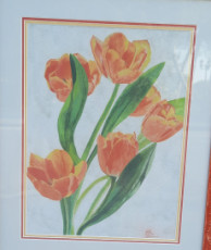 tulipes-de-sable