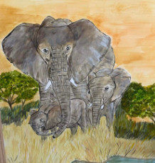 promenade-des-elephants