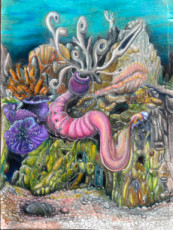 anemone-et-pense-morne