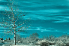 paysage-bleu