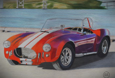 schelby-cobra-427